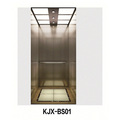 Villa Elevator with Hairline Stainless Steel (KJX-BS01)